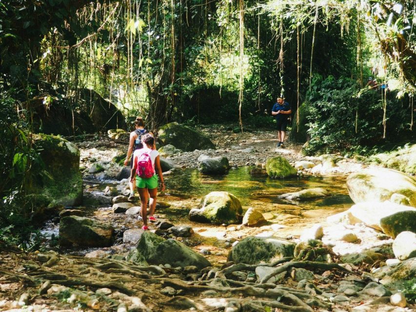 Santa Marta: Multi-Day Trek to The Lost City - Jungle camps you can actually handle: hammocks, nets, and shower time