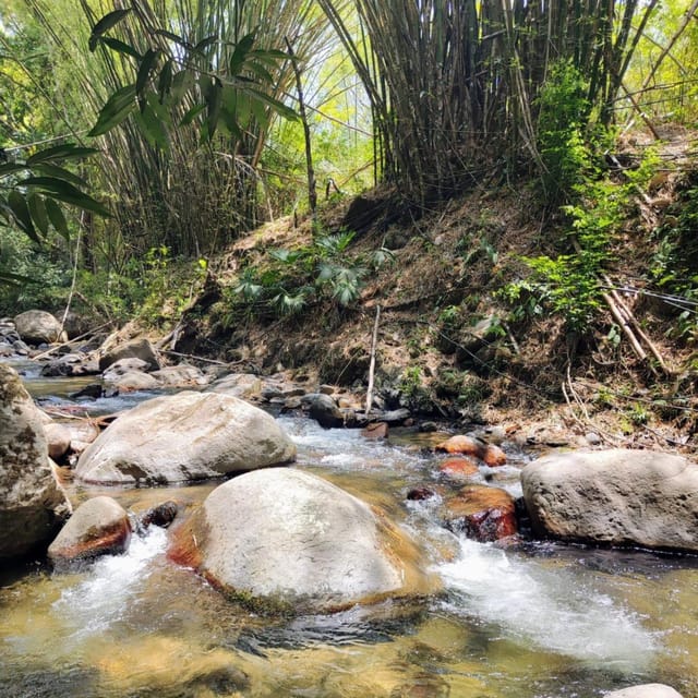 Santa Marta: Trekking in Minca Complete Waterfall Circuit - Oído del Mundo: a photo stop with actual context