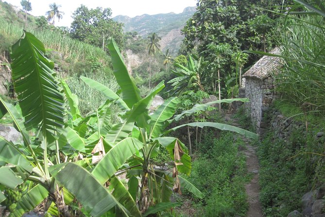 Santo Antão: Day Trip by Car or Trek - Grogue distillery: a real included taste moment
