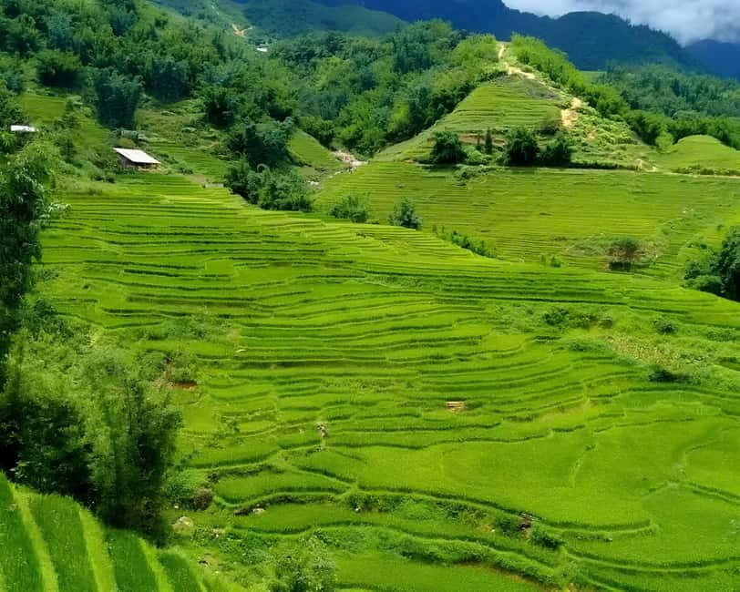 Sapa 1 Day Long Trek: Trek to Hau Thao and Sa Seng Villages - Hang Da Village Walk: Black Hmong Life Up Close (Without Staying Too Long)