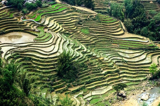 Sapa 1 Day Trekking - What the Terrain Feels Like: Shoes, Weather, and Staying Comfortable