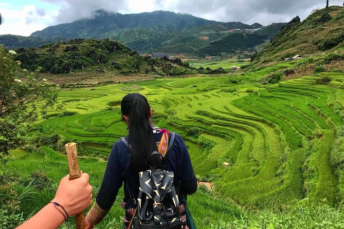 Sapa 1 Day Trekking Tours - Price and Value: Is $65.39 Worth It?