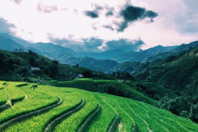 Sapa 2-Day Trek & Homestay in Ta Van Village – Be a Local - Market and garden time: how you turn ingredients into a story