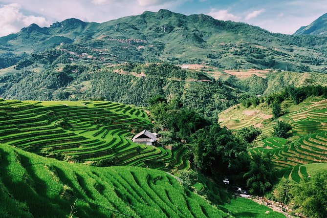 Sapa 2-Day Trek & Homestay in Ta Van Village – Be a Local - The H’mong indigo dyeing workshop: make your own souvenir