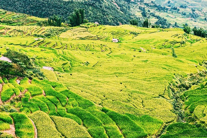 Sapa 2-Day Trek & Homestay in Ta Van Village – Be a Local - Price and what the included meals really buy you