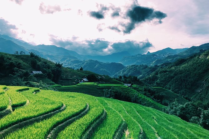 Sapa 2-Day Trek & Homestay in Ta Van Village – Be a Local - Market and garden time: how you turn ingredients into a story