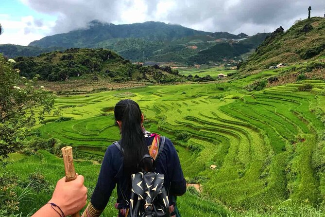 Sapa 2 Day Trekking with 1 Night Homestay - Homemade food on the trail: the quiet MVP of this package