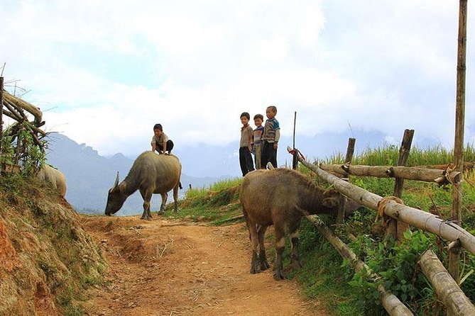 Sapa 2 days 1 night trekking Lao Chai Ta Van - Fansipan mountain by cable car - Evening transfer: get to Sapa without losing a day