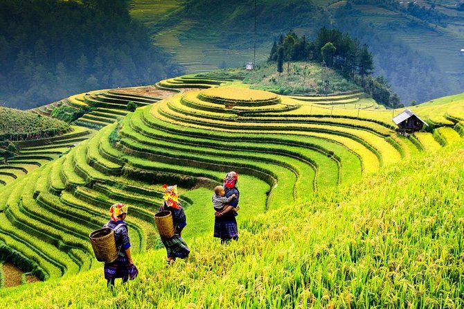 Sapa 2 days 1 night trekking Lao Chai Ta Van - Fansipan mountain by cable car - Ta Van village hike: the walk is the point