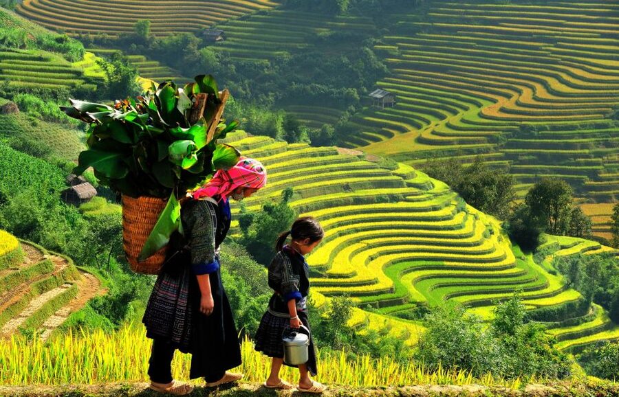 Sapa: 3-Day, 3-Night Trek and Hotel with Overnight Train - Key Highlights Worth Marking
