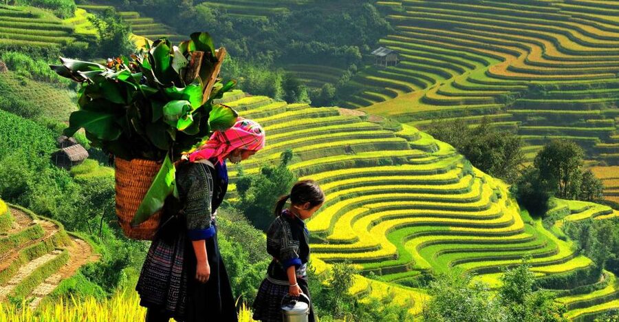 Sapa: 3-Day, 3-Night Trek and Hotel with Overnight Train - Day 1: Sin Chai Village and Your First Look at Highland Life