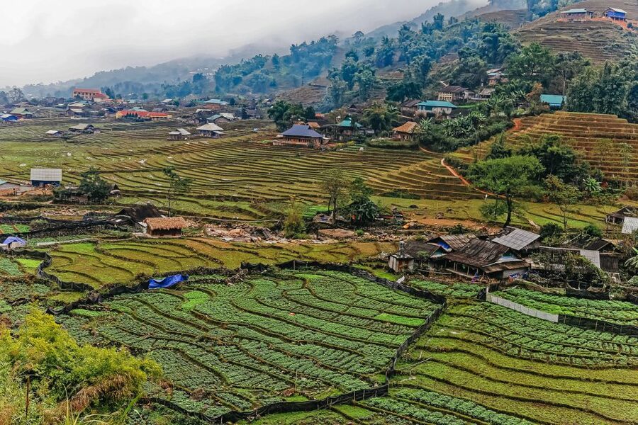 Sapa: 3-Day, 3-Night Trek and Hotel with Overnight Train - Day 0: Hanoi to Lao Cai by Overnight Train (Sleep Setup, Realistic Comfort)
