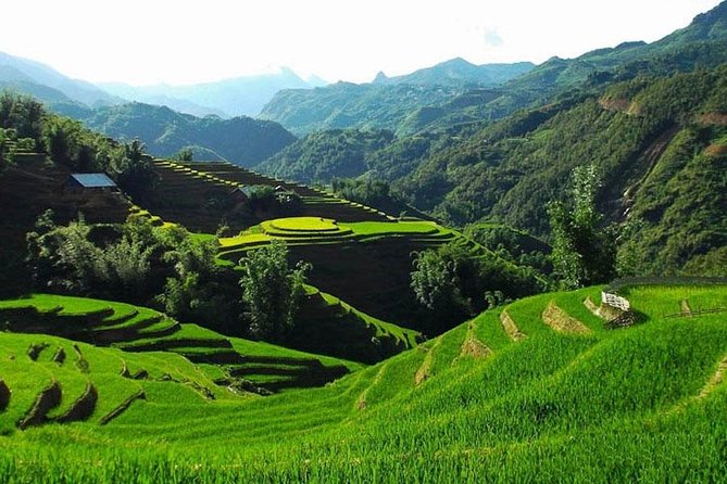 Sapa 3 Days 2 Nights Trekking Tour From Hanoi (2 Nights in Hotel) - Day 3 in Sapa: Cable Car Choice and a Slower Finish