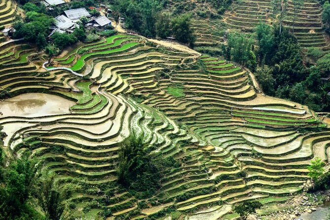 Sapa 3 Days Trek with 2 Nights Homestay - Timing, pickup, and how to keep the start-day stress low