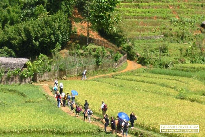 Sapa - Bac Ha Trek Tour - Night Train & Bus & Homestay overnight - From Hanoi Night Train to Early Sapa Morning: How the Route Works
