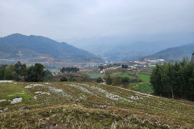 Sapa - Bac Ha Trek Tour - Night Train & Bus & Homestay overnight - Bac Ha Market on Sunday: Pig Trades, Castle Views, and a Short Walk to Pho Village