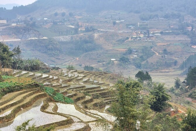 Sapa - Bac Ha Trek Tour - Night Train & Bus & Homestay overnight - Price and Logistics: What You Get for Around $54 and What Costs Extra