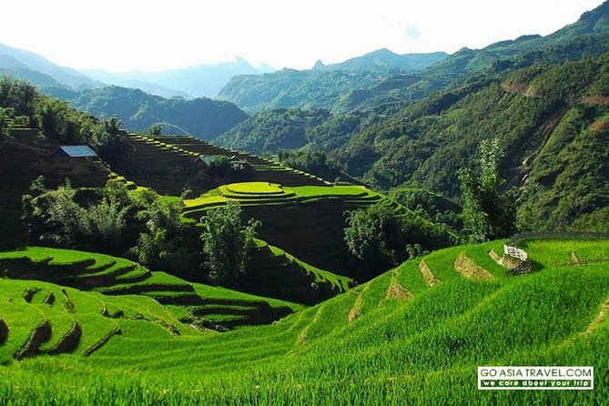 Sapa - Bac Ha Trek Tour - Night Train & Bus & Homestay overnight - Ta Van Homestay in the Muong Hoa Area: Simple Sleep, Real Connection