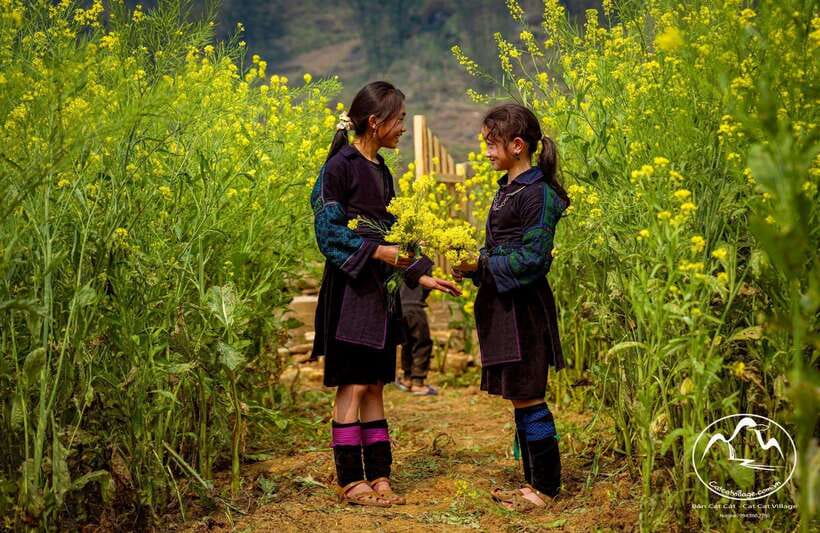 Sapa Cat Cat Village And Y Linh Ho Private Trekking Tour - Why Cat Cat Village + Y Linh Ho is a smart Sapa mix