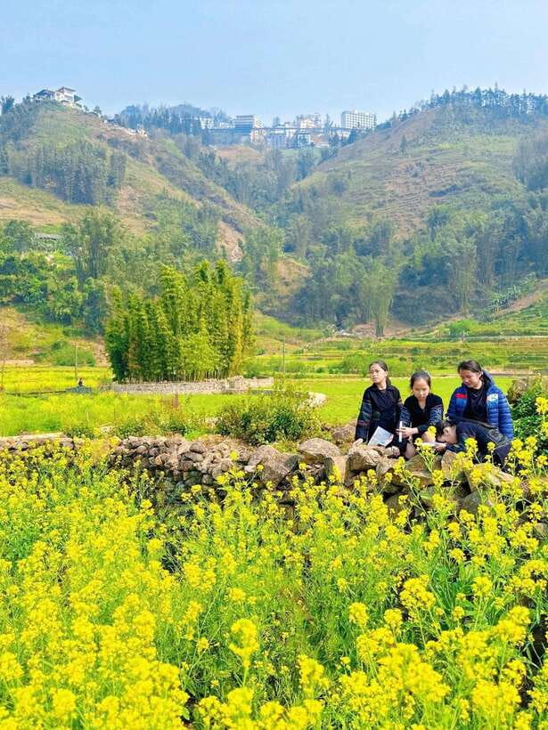 Sapa Cat Cat Village And Y Linh Ho Private Trekking Tour - Rice terrace trails toward Y Linh Ho pass