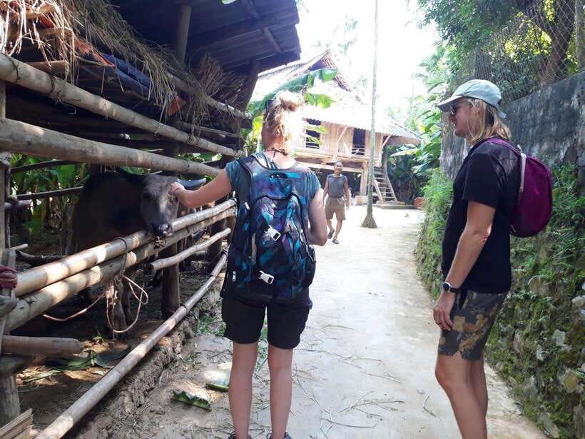 Sapa Cat Cat Village And Y Linh Ho Private Trekking Tour - Private guide value: clear pacing and real human kindness