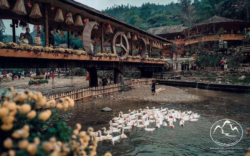 Sapa Cat Cat Village And Y Linh Ho Private Trekking Tour - The day’s flow: from hotel pickup to mountain pass views