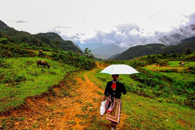 Sapa Easy Trekking Tour 1 Day - Rice Paddies and Cultures - Starting point at Sapa Church: getting set up for an easy morning