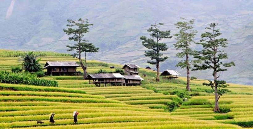 Sapa: Eco Adventure Terrace Fields and Local Villages Trek - Y Linh Ho Village: A Hmong Welcome and a River Crossing