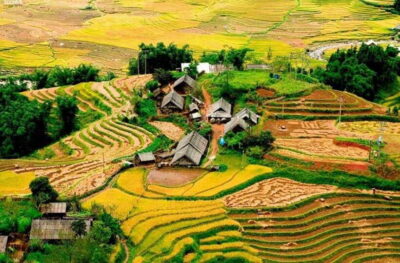 Sapa: Eco Adventure Terrace Fields and Local Villages Trek - Muong Hoa Valley Walking: Rice Terraces, Streams, and Farm Life