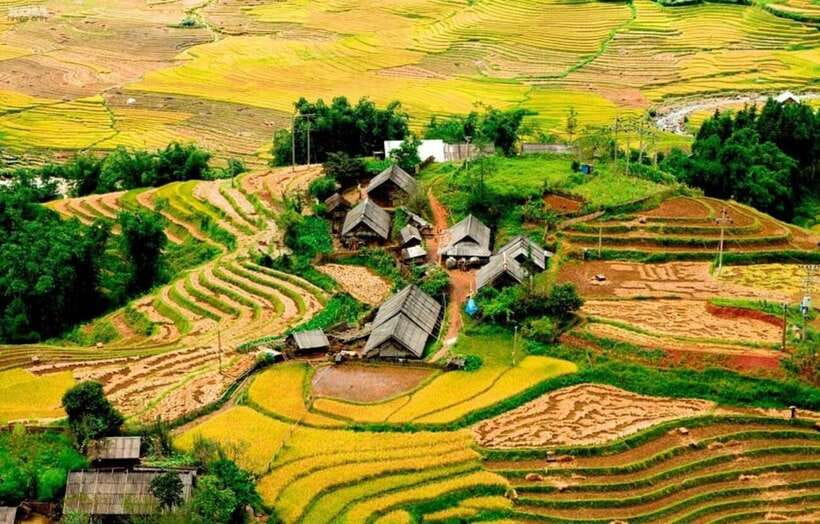 Sapa: Eco Adventure Terrace Fields and Local Villages Trek - Lao Chai Village and Rice-Season Reality