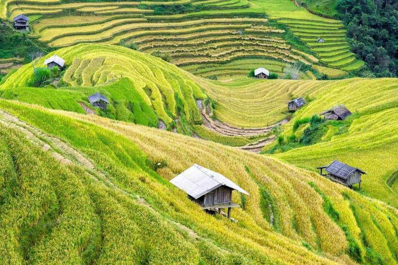 Sapa: Eco Adventure Terrace Fields and Local Villages Trek - Pace, Distance, and Mud: What Your Feet Should Expect
