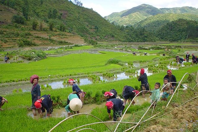 Sapa Hard Trekking villages 2D/1N: Homestay, Meals, English speaking guide - What to pack and how to handle a formal dress code