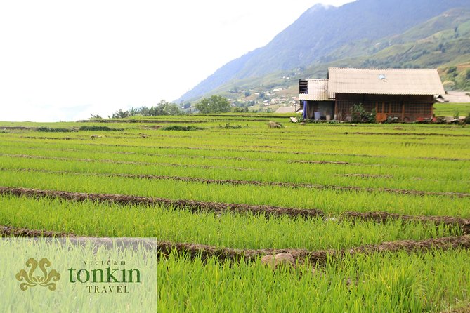 Sapa hard trekking villages homestay 3days/ 2nights tour - amazing culture - Getting there: pickup timing and what to expect on Day 1