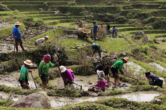 Sapa Hmong Family Trekking Adventures - Entering Sapa on Foot: Why This Trek Works