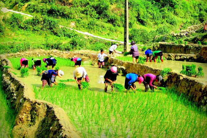 Sapa Hmong Family Trekking Adventures - Price and Value: How $59 Stacks Up for Two Days