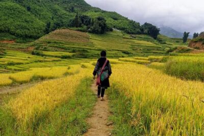 Sapa Local Trekking Adventures - Weather Reality in Sapa: Bring Serious Rain Gear