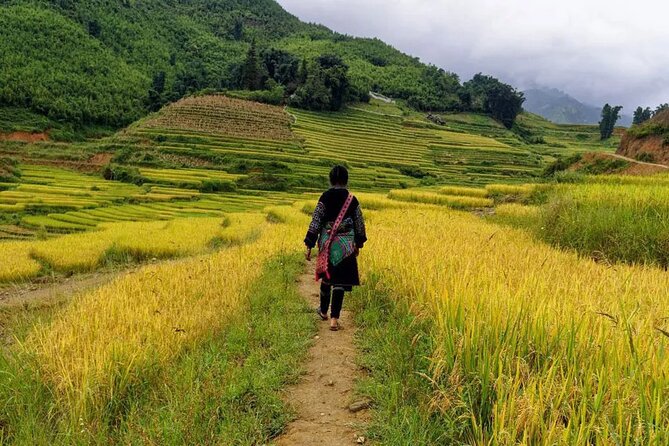 Sapa Local Trekking Adventures - Weather Reality in Sapa: Bring Serious Rain Gear