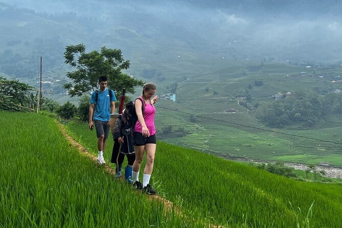 Sapa Mountain Escape: 2-Day Trekking, Rice Terraces & Homestay - Day 2: coffee over terraces, Ta Van, and Lao Chai’s rice-field setting
