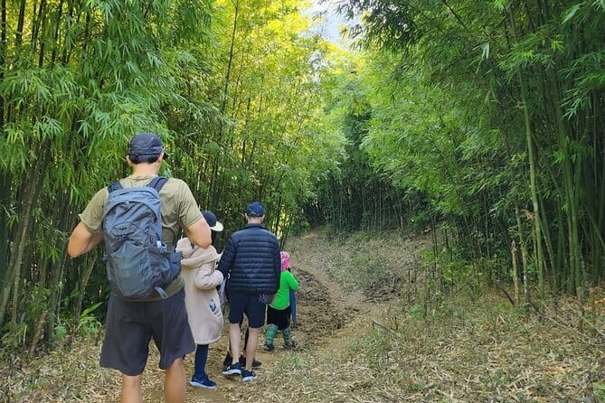 Sapa Mountain Escape: 2-Day Trekking, Rice Terraces & Homestay - Price and value: what $80 actually buys you