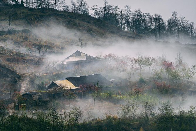 Sapa Mountain View and Villages Trek - The Walk Pace, Fitness Reality, and Why Weather Matters