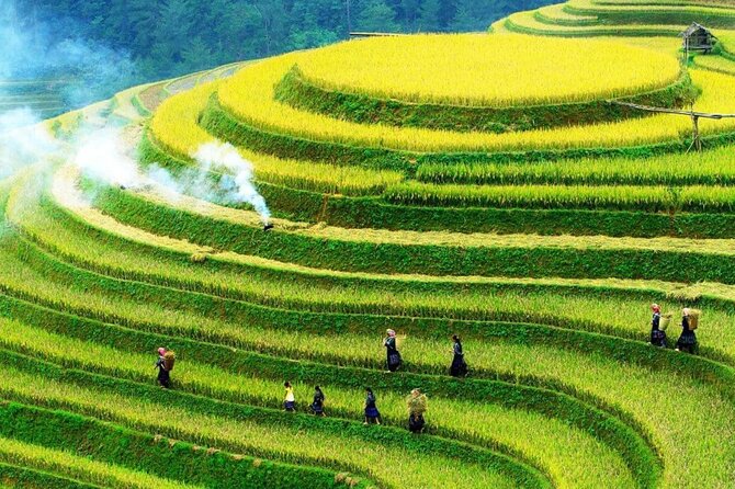 Sapa Muong Hoa Valley & Ta Van Eco Village Scenic Tour (No Trek) - Key Highlights Worth Planning For