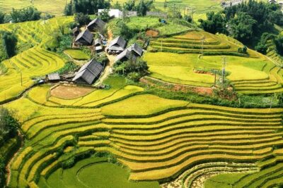 Sapa Muong Hoa Valley & Ta Van Eco Village Scenic Tour (No Trek) - Price and Logistics: What You’re Really Paying For