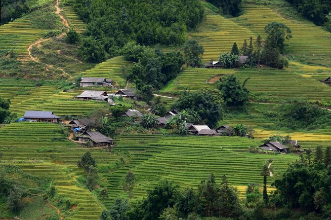 Sapa Muong Hoa Valley & Ta Van Eco Village Scenic Tour (No Trek) - Stop 2: The Gentle Lao Chải to Tả Van Walk