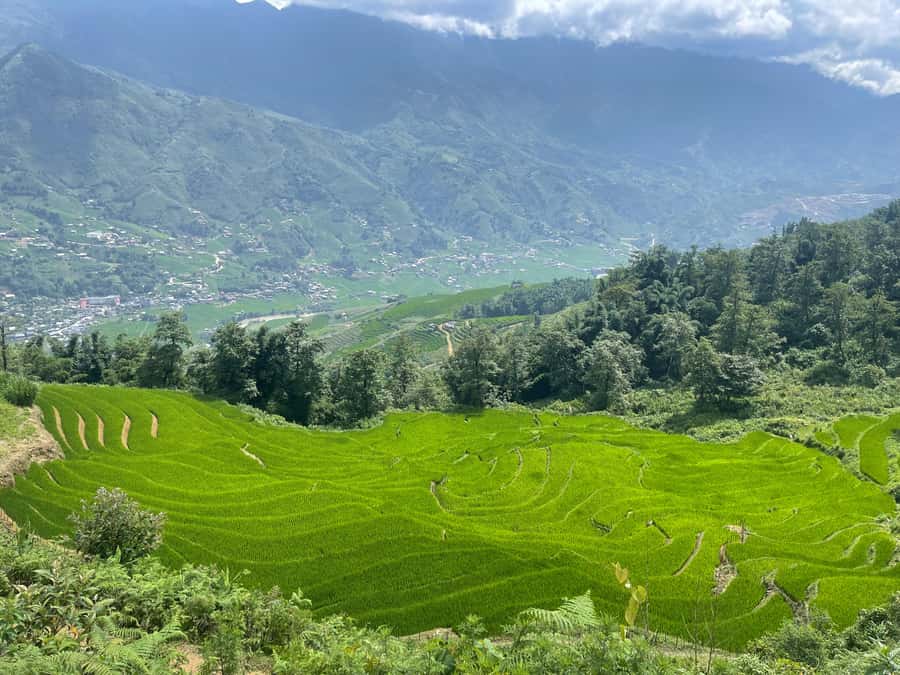 Sapa: Muong Hoa Valley View & Villages Trek with Local Guide - Hang Da village stop: Black Hmong daily life plus farm animals