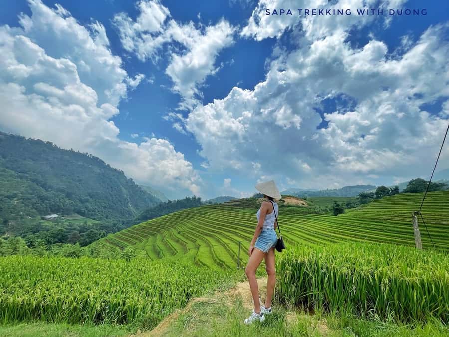 Sapa: Private The Most Beautiful Terraced Fields Trekking - Key things I’d circle before you book