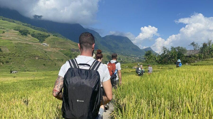 Sapa: Private The Most Beautiful Terraced Fields Trekking - Price and logistics: why $34 can feel like value (or not)