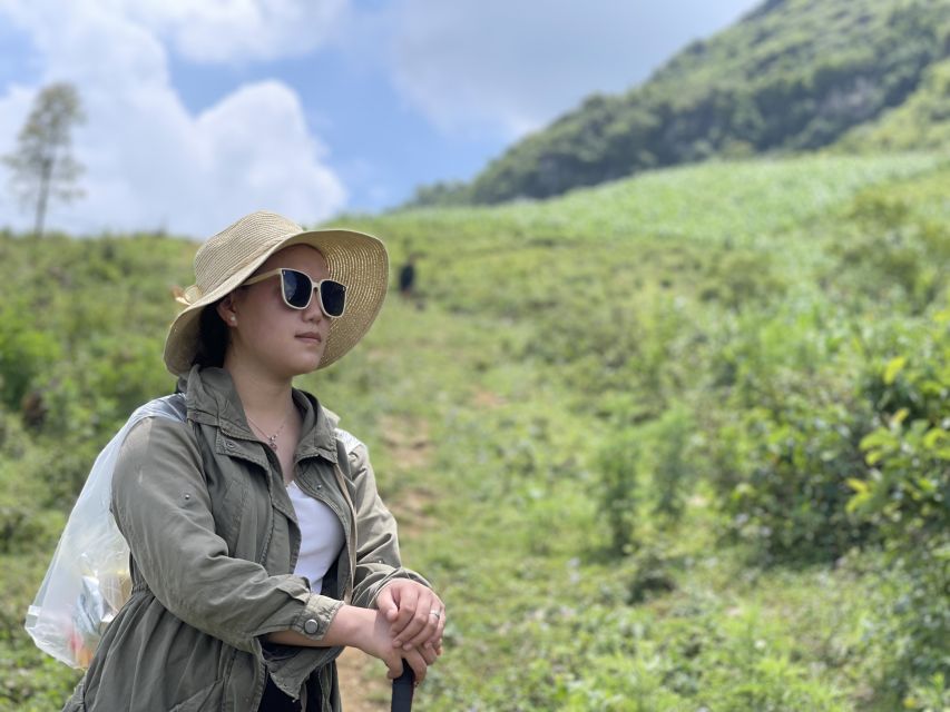 Sapa: Sapa Mountain View And Villages Trek - Ham Rong (Dragon) Mountain: orchards, altitude, and your first big panoramas