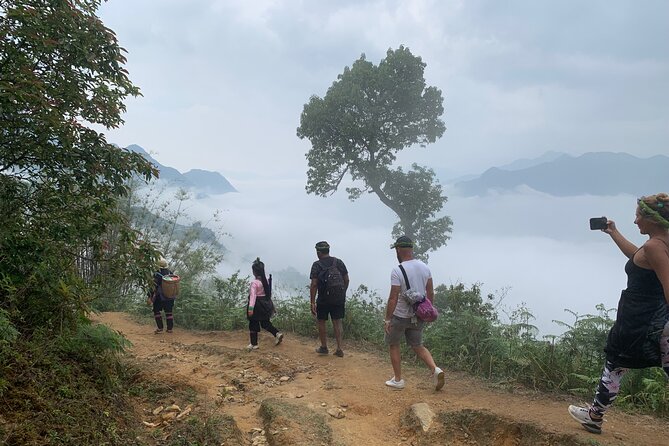Sapa The Hidden Trail Trek 1 Day - Mountain & Rice Valley - Starting in Sapa around 9:00am: pickup, briefings, and the first climb