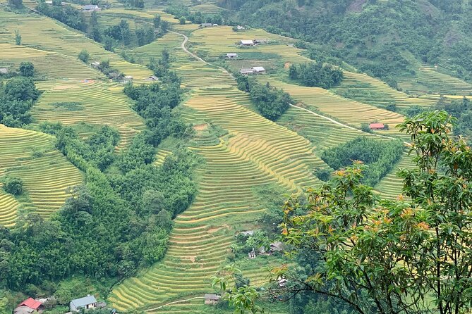 Sapa The Hidden Trail Trek 1 Day - Mountain & Rice Valley - How hard is it, really? Steps, uneven ground, and the muddy reality