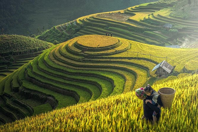 Sapa Trek Tours -2D1N Stay At 3*** -TRANSFER BY SLEEPING BUS - Hanoi pickup and the sleeping-bus transfer